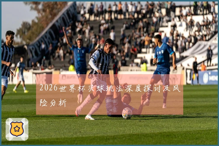 2026世界杯买球玩法深度探讨及风险分析