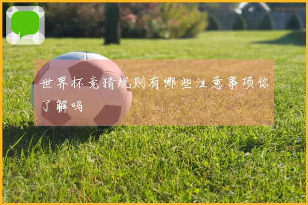 世界杯竞猜规则有哪些注意事项你了解吗