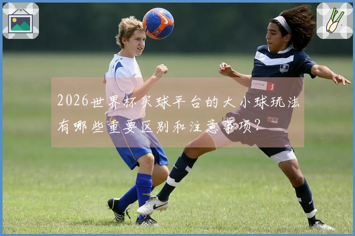 2026世界杯买球平台的大小球玩法有哪些重要区别和注意事项？