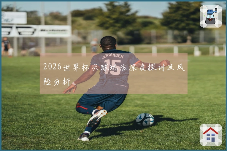 2026世界杯买球玩法深度探讨及风险分析
