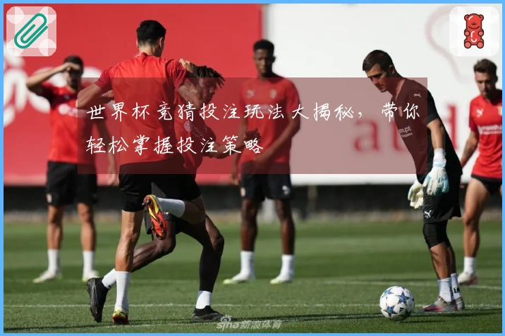 世界杯竞猜投注玩法大揭秘，带你轻松掌握投注策略