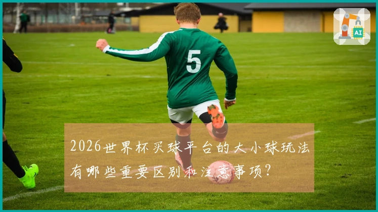 2026世界杯买球平台的大小球玩法有哪些重要区别和注意事项？